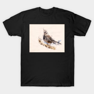 Dark Eyed Junco Watercolor T-Shirt